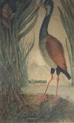Henri Rousseau Wader china oil painting reproduction